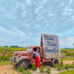 Meet your Posher, Winnie